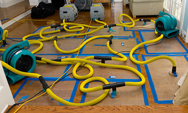 Professional Sewage Cleanup technician working in Oakhurst, CA